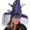 AMSCAN Deluxe Purple Witch Hat -Halloween Costumes Shop deluxe purple witch hat