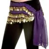 Miss Belly Dance Purple Belly Dance Hip Scarf Costume -Halloween Costumes Shop purple belly dance hip scarf