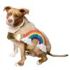 Pet Krewe Rainbow Costume For Pets -Halloween Costumes Shop rainbow pet costume