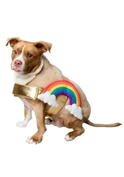 Pet Krewe Rainbow Costume For Pets