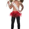 California Costume Collection Valentine's Cupid Kit -Halloween Costumes Shop valentines cupid accessory kit